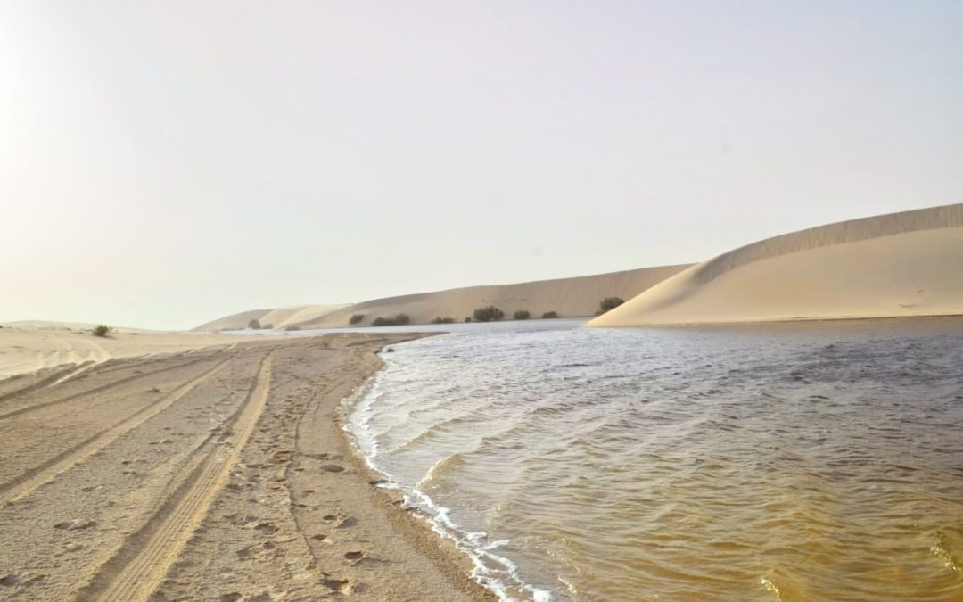 جمعية فرسان الشرقيه في جولة إلى بحيرة الحبيل جنوب مدينة بقيق وشرق مدينة العيون وشمال بحيرة الأصفر